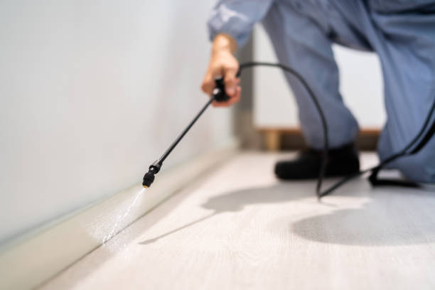 Licensed Pest Control service in Richlands, VA - Show Me Pest Control