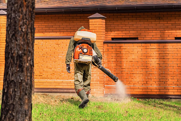 Top rated local Ant Control specialists in Richlands, VA